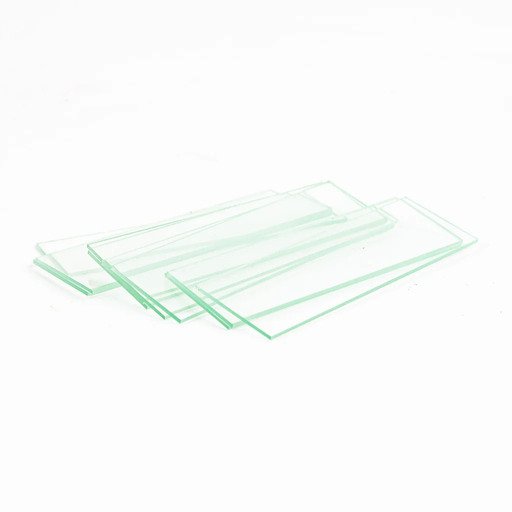 Microscope Slide