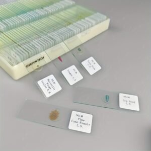 Microscope Slide Set